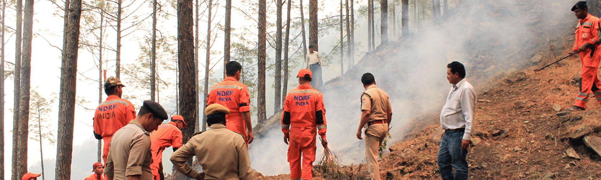Forest Fire Management
